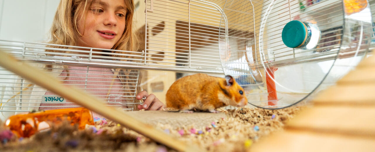 Flicka leker med hamster i Omlet hamsterbur