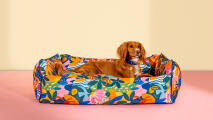 Hund som vilar i en färgglad patterend bolster hundbädd från Omlet