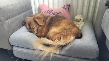 Maya sover underbart 