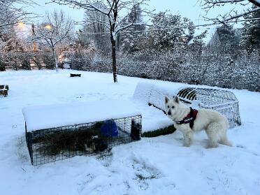 Under snön och väl skyddade 