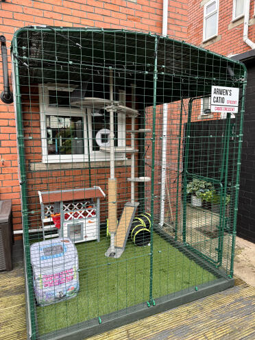 Arwens catio 