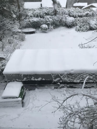 Min 7x3 körning och Cube in Snow