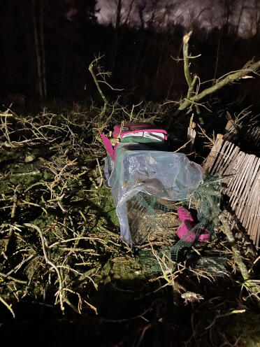 Eglu Cubevåldsam storm i belgien men mina 5 damer överlevde tack vare den fantastiska robusta . av wendy