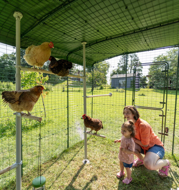En mor och dotter i en hönsgård som går att gå in i och som interagerar med sina kycklingar.