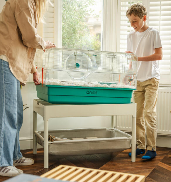 Mor och son som sänker ner en stor hamsterbur i stålramen