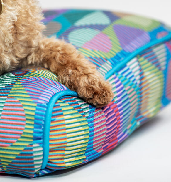 Närbild av en tass på en färgglad mönstrad kudde hundbädd