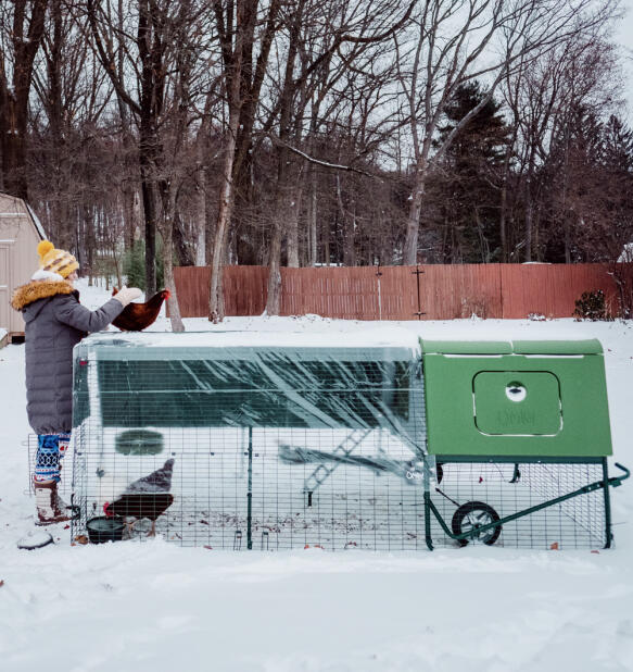 En kvinna som sköter om sina höns i Snow