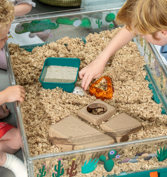 Vy uppifrån inuti Omlet s stora hamsterbur med tillbehör