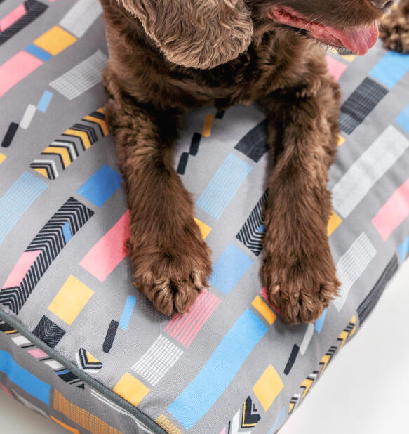 Hund tassar på studs grå kudde säng